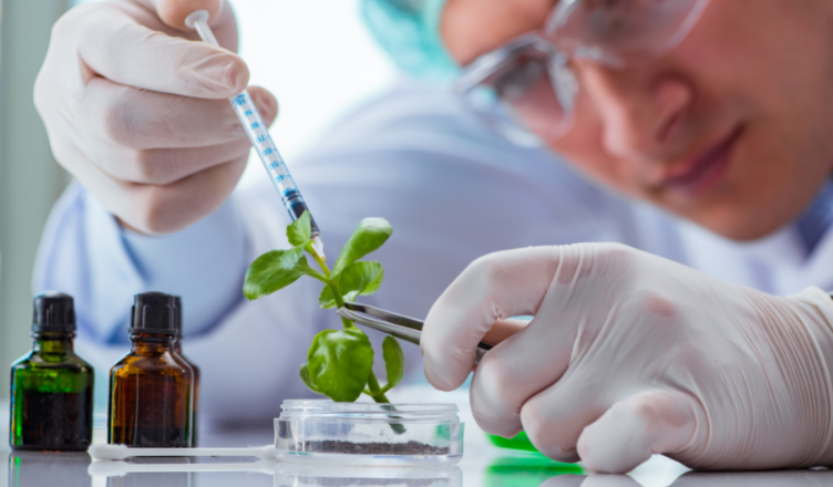 Nuevo grado en Biotecnología de Loyola Grado en Biotecnología en la Universidad Loyola