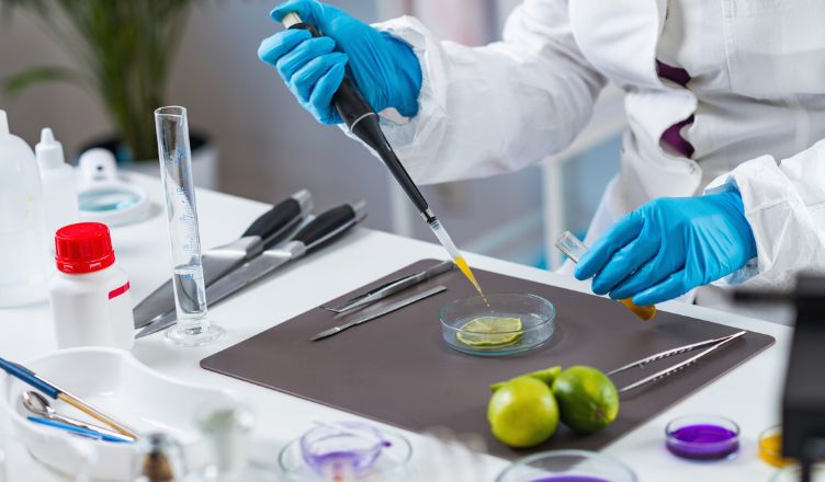 La Universidad Loyola participa en un estudio para el desarrollo de alimentos funcionales formulados con algas