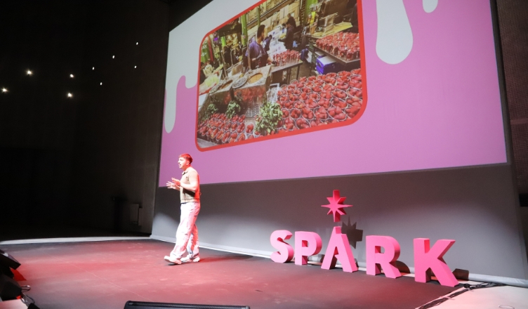 SPARK Universidad Loyola 3