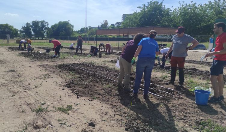 El huerto comunitario de la Universidad Loyola comienza a crecer en el Campus de Córdoba