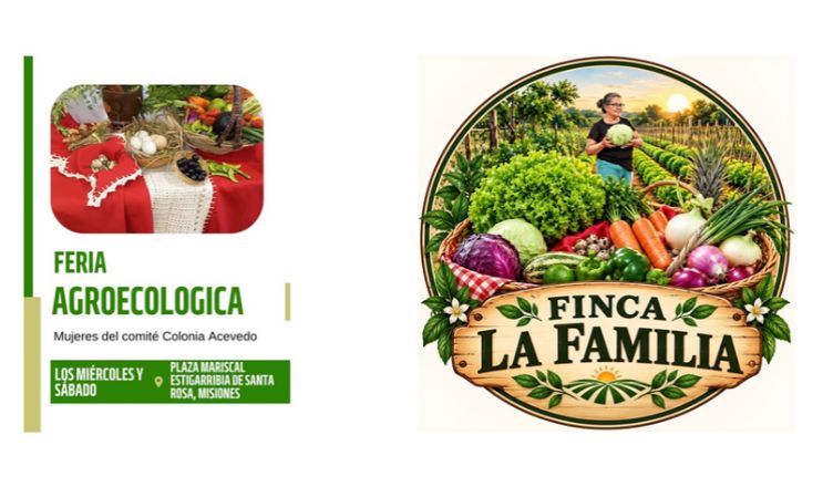 Tres talleres en Paraguay acercan la comunicación digital a productoras agroecológicas y jóvenes del sector agrario Foto LN
