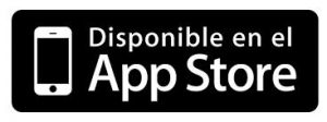 apple store 300x112