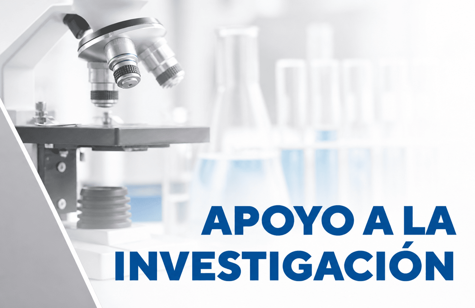 Apoyo a la investigación