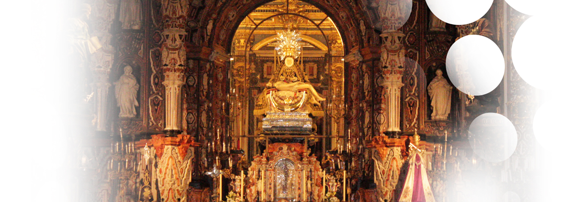 Experto en Teología de la Evangelización y Religiosidad Popular