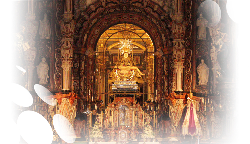 Experto en Teología de la Evangelización y Religiosidad Popular