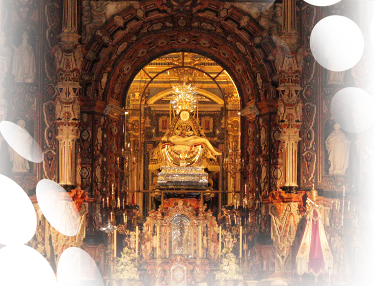Experto en Teología de la Evangelización y Religiosidad Popular
