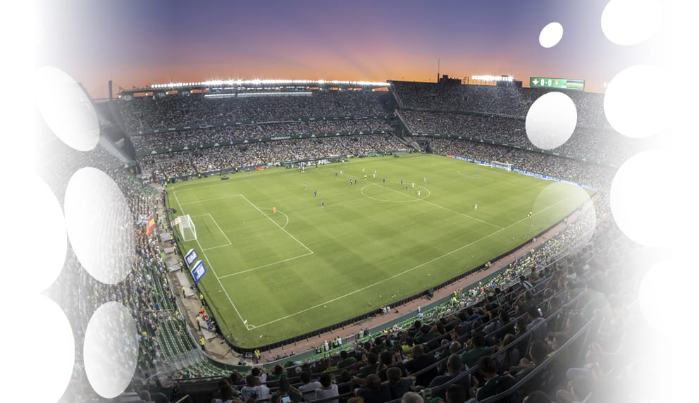 Master in Management: Sports Business Real Betis