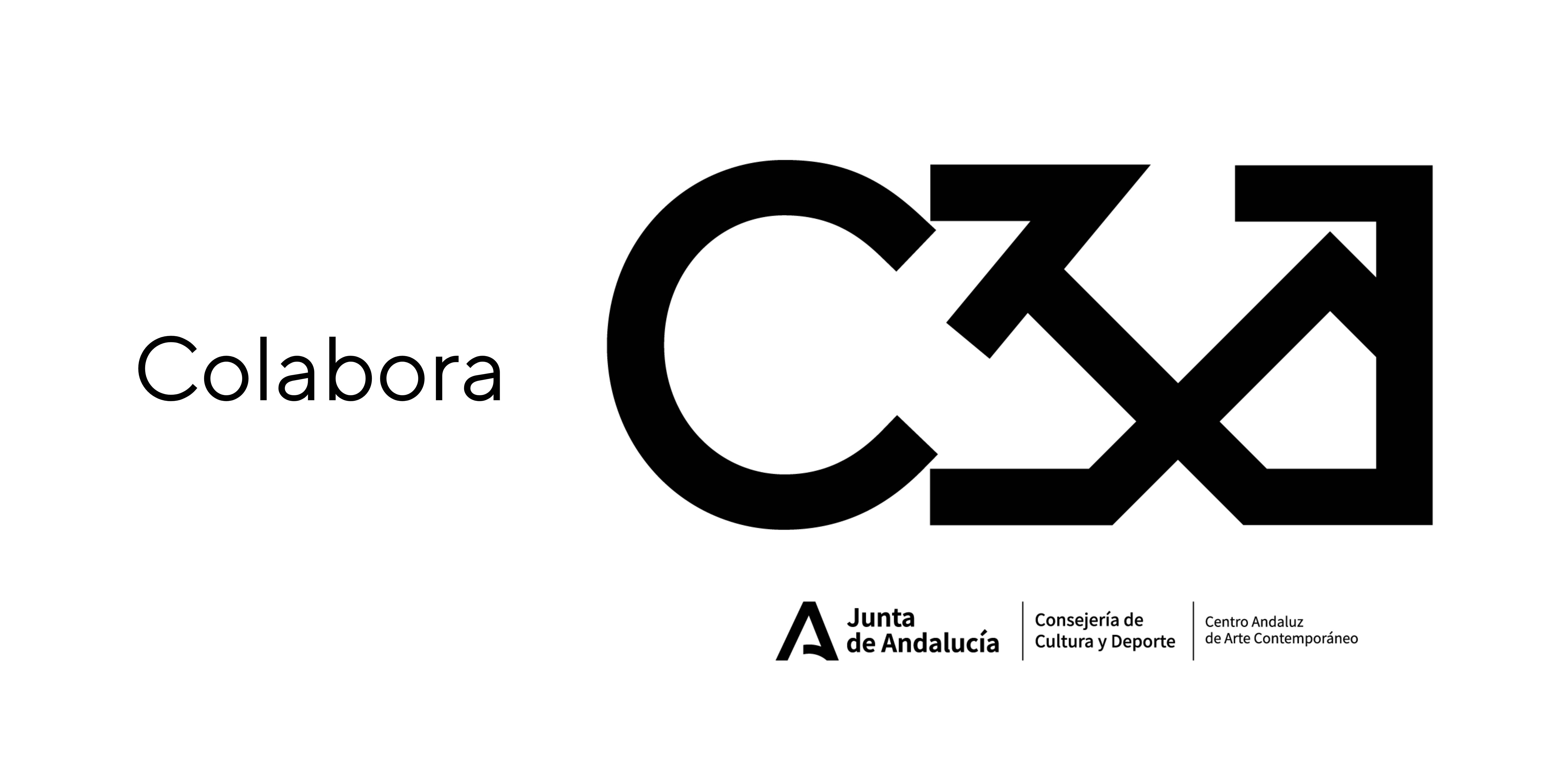 logo c3a