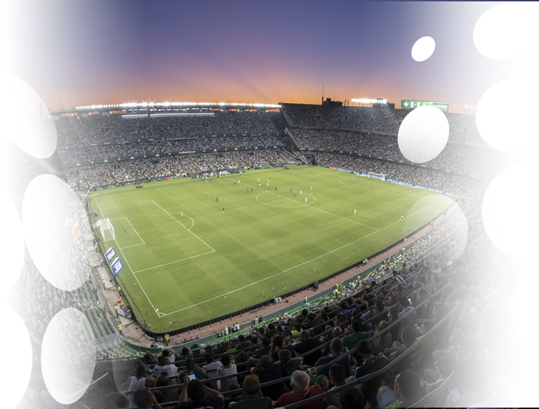 Master in Management: Sports Business Real Betis